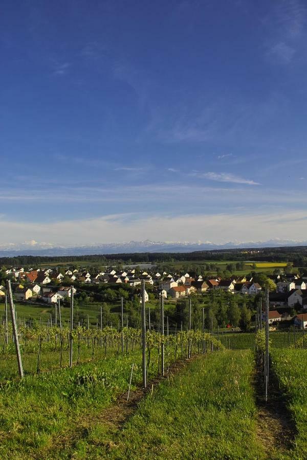 Fewo Schillerstrasse Markdorf Eksteriør billede